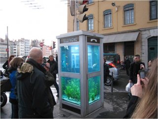 tank1.jpg
