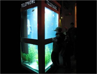 tank2.jpg