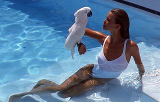 claudiaschiffergallery blogspot com.jpg