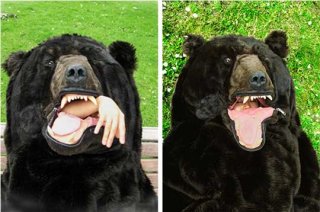 bear-sleeping-bag-2 from artist Eiko Ishizawa via ohdeedoh 01.jpg