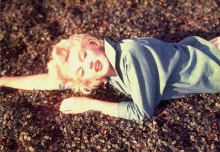 11428 - Marilyn Monroe.jpg