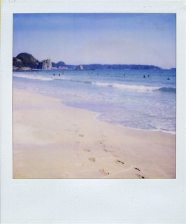 p6.jpg
