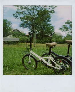 p7.jpg