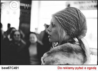 bew67C491.jpg