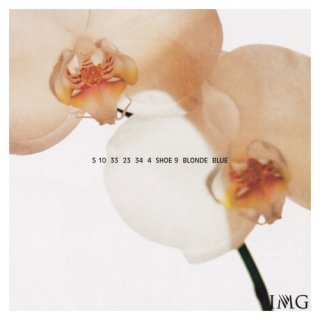 Lily22-copy.jpg Lily22-copy.jpg