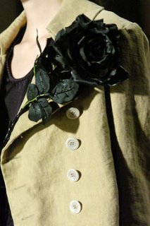 dries detail1.jpg