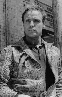 snakeskin.jpg