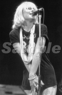 12x8blondie04.jpg
