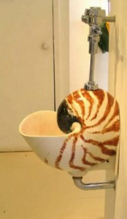 strange-urinal-looks-like-sea-shell- porcelainpoetry com.jpg
