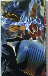 img055.jpg
