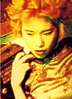 fallen angels photosuite kar wai cinemagebooks com.jpg