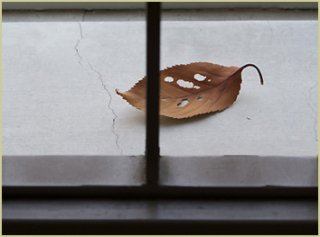 Tomoko-Yoneda2009_44.jpg