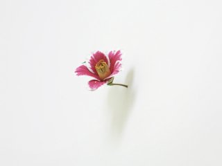 Yoshihiro_Suda_005.jpg