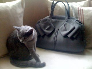 mary+bag2.jpg