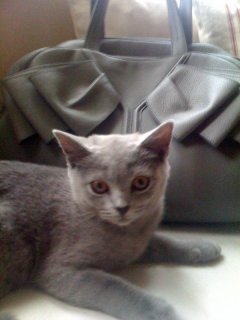 mary+bag4.jpg