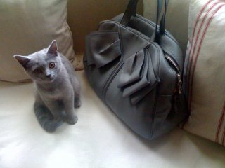 mary+bag1.jpg