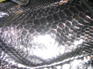 paratyres2.JPG