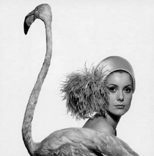 DavidBailey65deneuve2.jpg