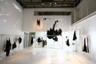 t1_1[1].jpg
