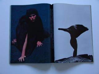 Picture 21.jpg