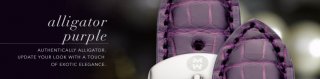 alligator_purple.jpg
