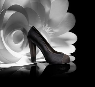 chanel- 2010 -1.jpg