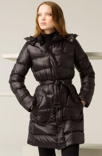 _5871973.jpg _5871973.jpg