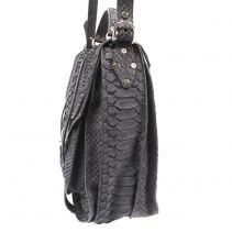 proenza python 3.jpg