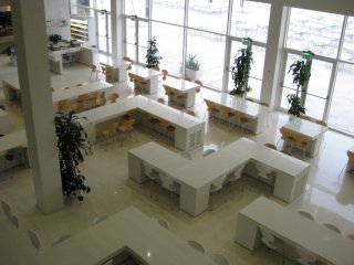 IMG_0448 copy.jpg