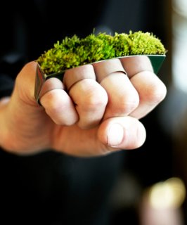 greenring.jpg