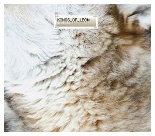 Kings-Of-Leon-Revelry-462124[1].jpg