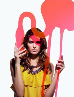 moda flamingo7.jpg