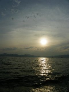 IMGP3007 (Medium).JPG