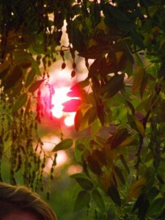 IMGP3243 (Medium).JPG