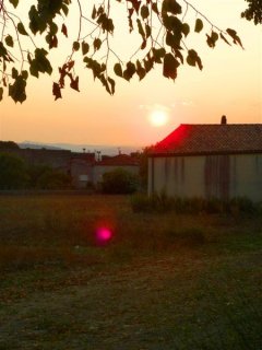 IMGP3233 (Medium).JPG