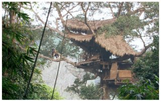 TreeHouseLaos.jpg