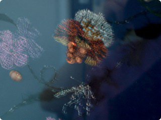 080730_02.jpg