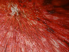 081015_05.jpg