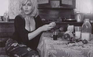MadonnaVFInside3.jpg