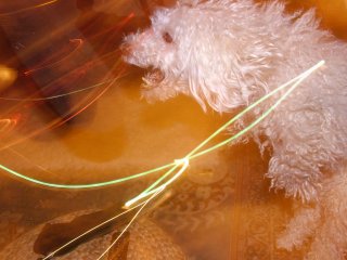 DSCF9074.JPG
