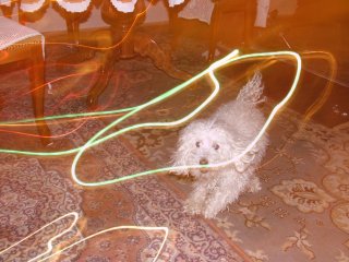 DSCF9075.JPG