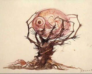 Amano1.jpg