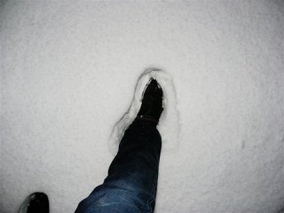 IMGP5246 (Medium).JPG
