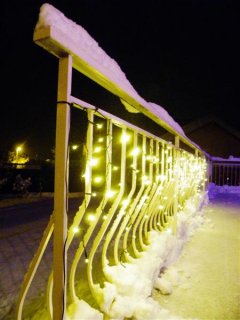 IMGP5265 (Medium).JPG