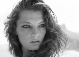 vicente de paulo 3.png