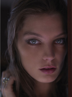 vicente de paulo 5.png