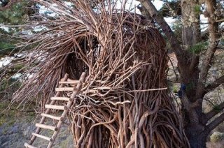 nest hautenature.blogspot com.jpg