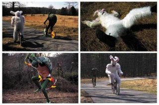animal_collective.jpg