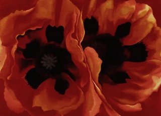 poppies.jpg