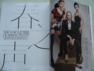 vcmarch20101.jpg